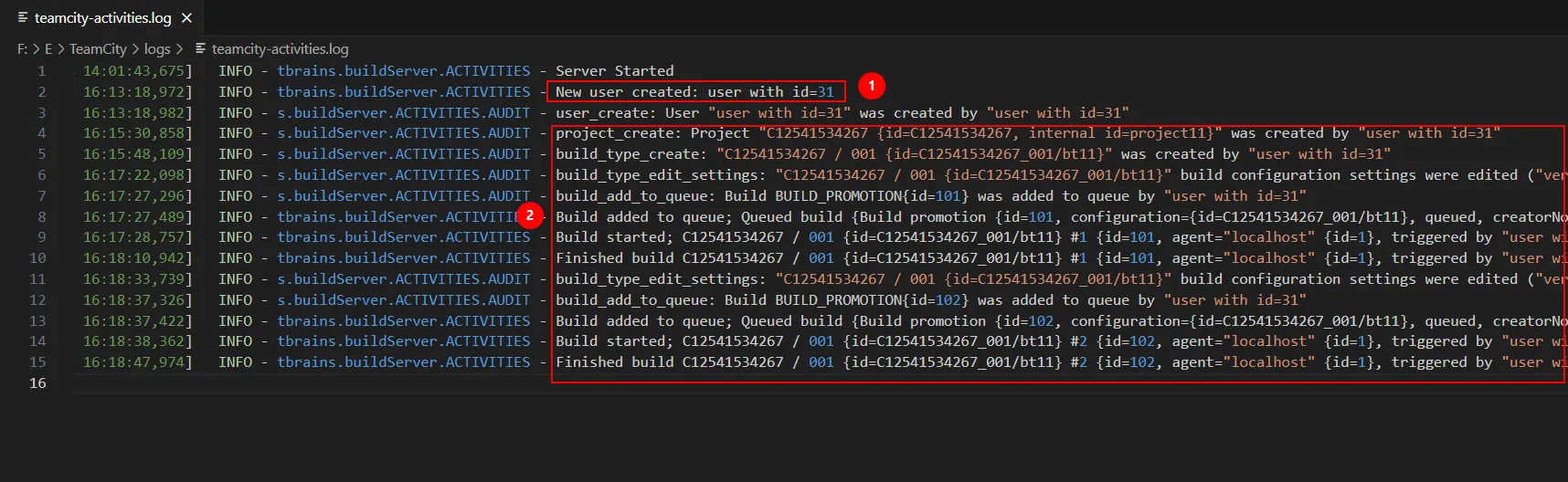 Figure 19: teamcity-activities.log file